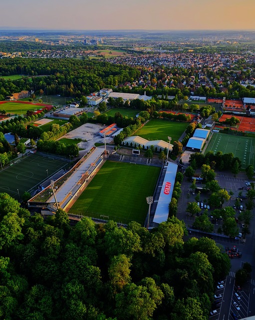 在归队后帮 在归队后帮